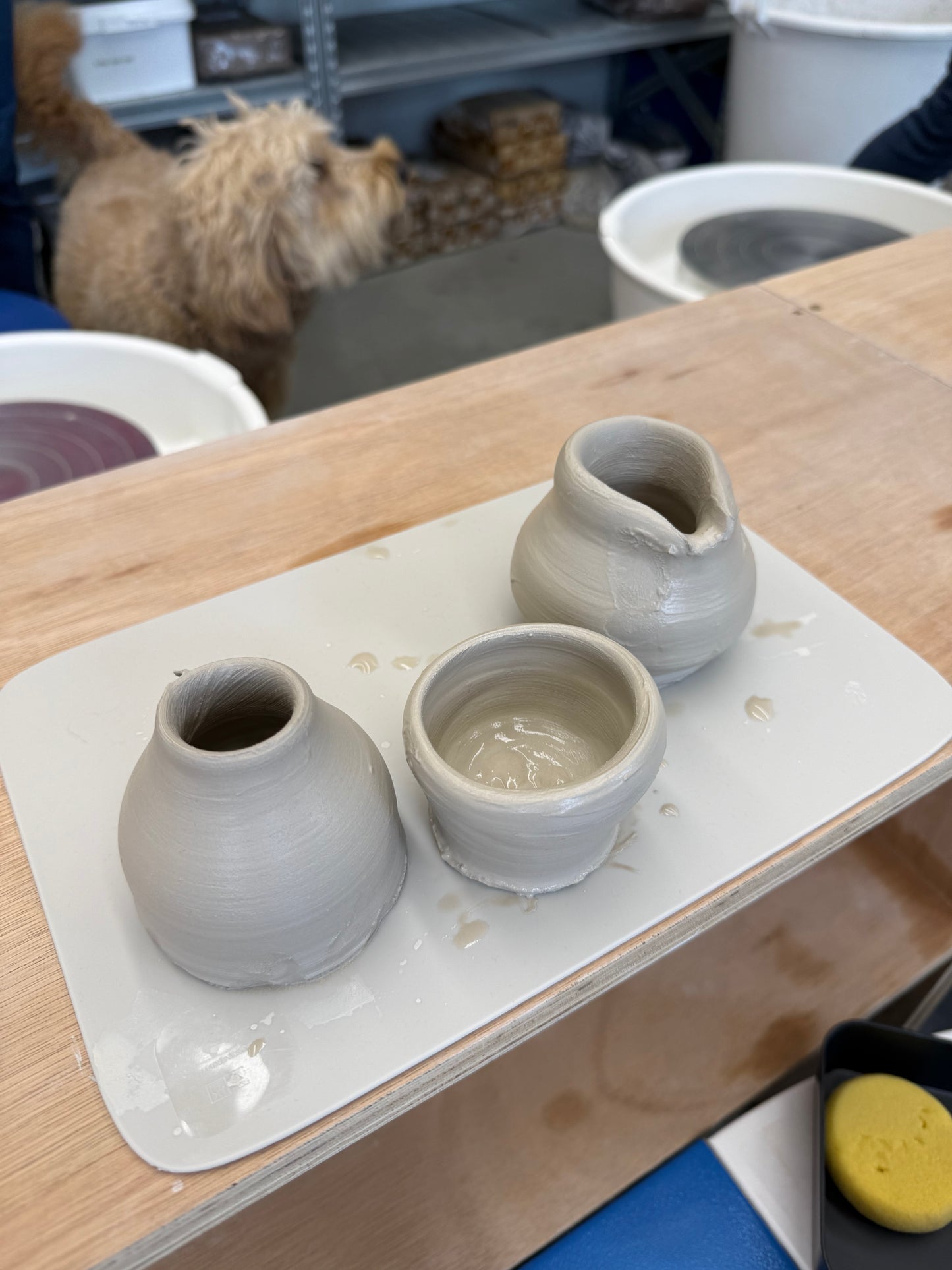 Workshop Pottenbakken | 20 maart 2026 (avond)